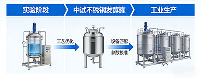 霍尔斯发酵罐工艺放大解决方案 霍尔斯发酵罐工艺放大解决方案