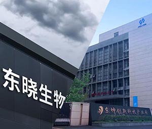 霍尔斯 × 东晓生物 | 以科技助力农业价值升级