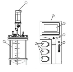 生物反应器