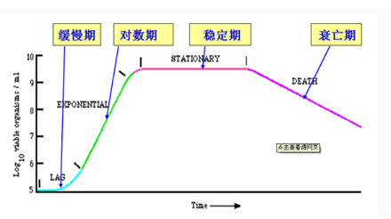 微生物生长曲线图