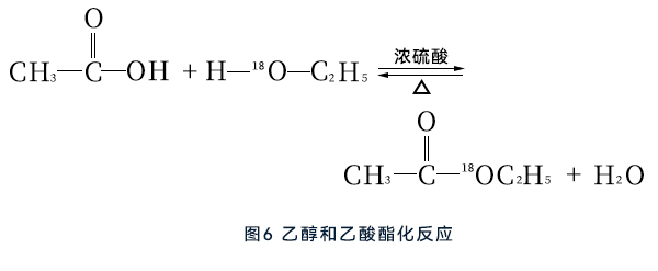 乙醇和乙酸酯化反应