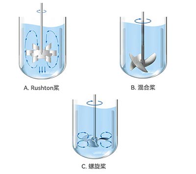 霍尔斯发酵罐不同类型桨叶 霍尔斯发酵罐不同类型桨叶