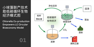 小球藻联产技术助力碳循环经济模式图 小球藻联产技术助力碳循环经济模式图