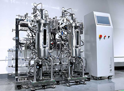 霍尔斯发酵罐尾气处理 霍尔斯发酵罐尾气处理