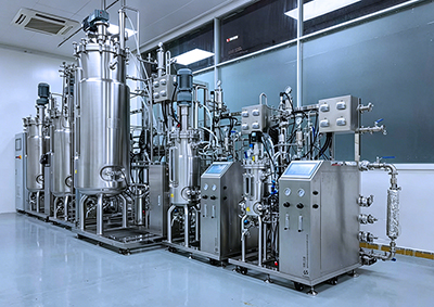 霍尔斯不锈钢发酵罐 霍尔斯不锈钢发酵罐