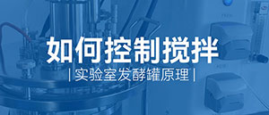 实验室发酵罐原理之搅拌 实验室发酵罐原理之搅拌